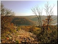 DSCN0014957