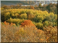 DSCN0014967