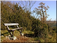 DSCN0014969