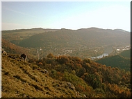 DSCN0014974
