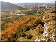 DSCN0014978