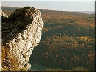 DSCN0014980