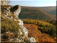 DSCN0014981