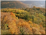 DSCN0014983