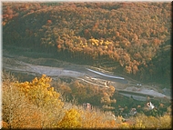 DSCN0014994
