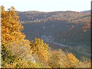 DSCN0014996