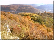 DSCN0014997
