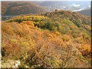 DSCN0014998