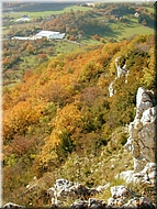DSCN0015005
