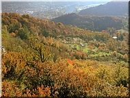 DSCN0015010