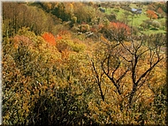 DSCN0015011