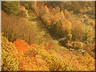 DSCN0015047