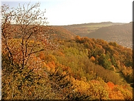 DSCN0015048