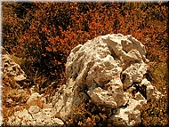 DSCN0015049