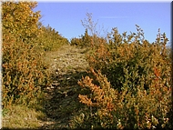 DSCN0015052