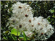 DSCN0015054