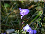 DSCN0015056