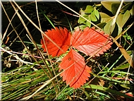 DSCN0015058