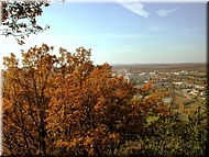 DSCN0015063