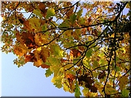 DSCN0015064