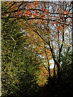 DSCN0015068