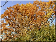 DSCN0015070