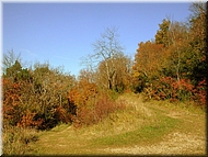 DSCN0015072