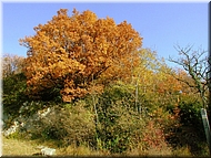 DSCN0015073