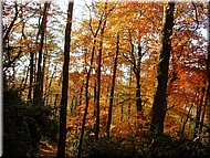 DSCN0015083