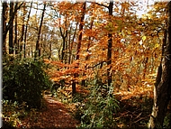 DSCN0015085