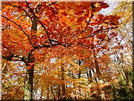 DSCN0015089
