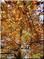 DSCN0015090
