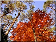 DSCN0015092