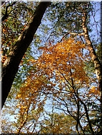 DSCN0015093