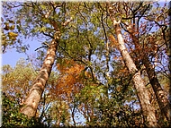 DSCN0015094