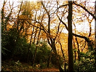 DSCN0015095