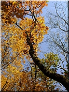 DSCN0015098