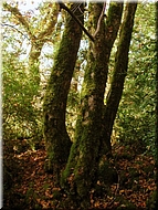 DSCN0015102