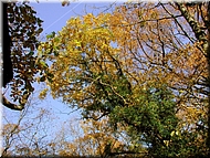 DSCN0015103