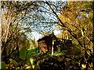 DSCN0015104