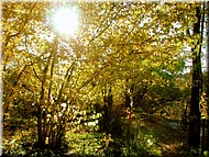 DSCN0015105