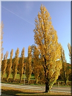 DSCN0015113
