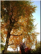 DSCN0015117