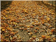 DSCN0015121