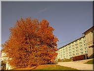 DSCN0015137