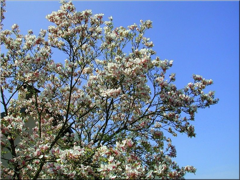 dscn0010475-2