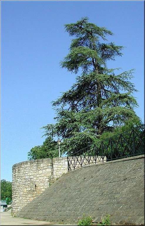 dscn0011577-2