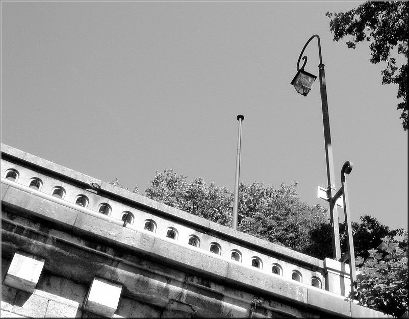 dscn0011592-3
