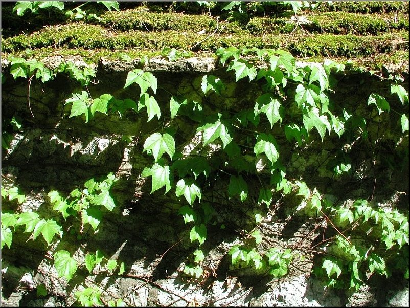 dscn0011764-2