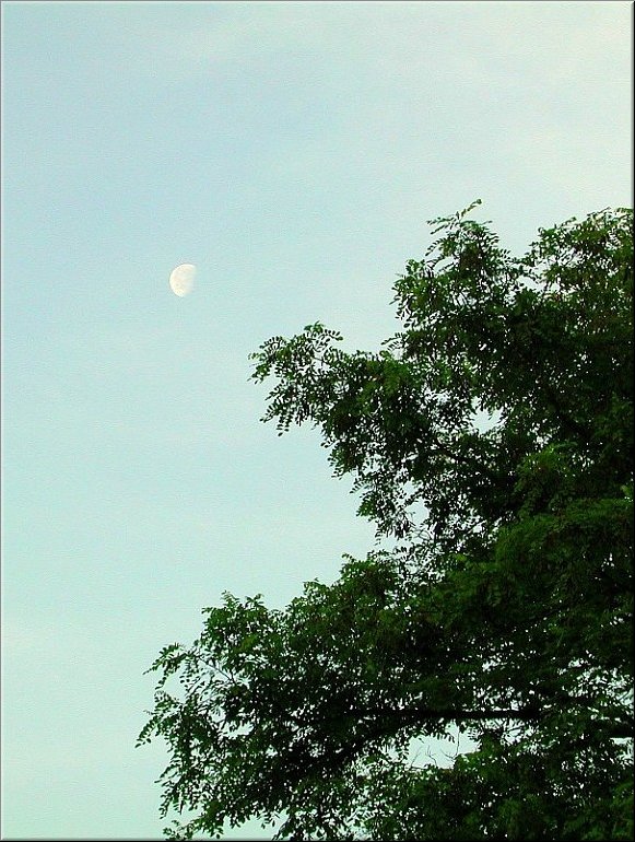 dscn0011935-2